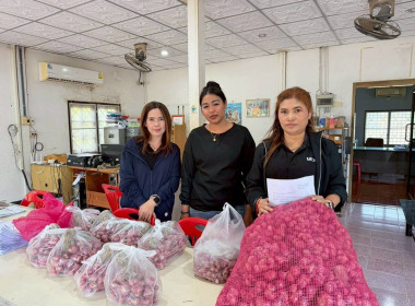 กิจกรรมการบริหารจัดการผลผลิตหัวหอมแดงของจังหวัดศรีสะเกษออกนอกแหล่งผลิต เพื่อแก้ไขปัญหาราคาผลผลิตตกต่ำและล้นตลาด โดยได้ประสานขอความร่วมมือเชื่อมโยงเครือข่ายกับสหกรณ์/กลุ่มเกษตรกร หน่วยงานราชการ ประชาชนในพื้นที่จังหวัดฉะเชิงเทรา กระจายผลผลิตหัวหอมแดง ... พารามิเตอร์รูปภาพ 12