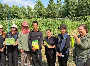 ครงการขับเคลื่อนปรัชญาของ ... พารามิเตอร์รูปภาพ 3