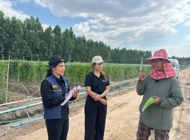 ครงการขับเคลื่อนปรัชญาของ ... พารามิเตอร์รูปภาพ 4