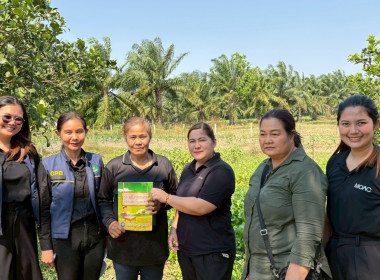 ครงการขับเคลื่อนปรัชญาของ ... พารามิเตอร์รูปภาพ 11