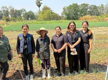 ครงการขับเคลื่อนปรัชญาของ ... พารามิเตอร์รูปภาพ 14