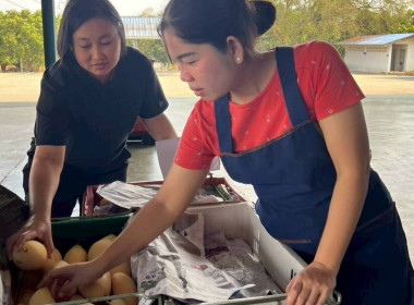 ลงพื้นที่สหกรณ์ชมรมชาวสวนมะม่วงจังหวัดฉะเชิงเทรา ... พารามิเตอร์รูปภาพ 5