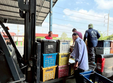 ลงพื้นที่สหกรณ์ชมรมชาวสวนมะม่วงจังหวัดฉะเชิงเทรา ... พารามิเตอร์รูปภาพ 6