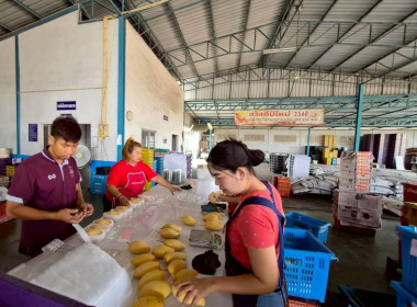 ลงพื้นที่สหกรณ์ชมรมชาวสวนมะม่วงจังหวัดฉะเชิงเทรา ... พารามิเตอร์รูปภาพ 8