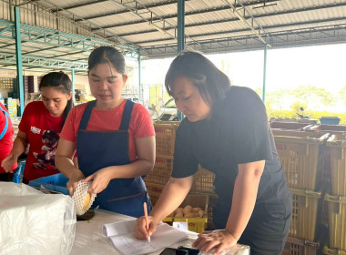 ลงพื้นที่สหกรณ์ชมรมชาวสวนมะม่วงจังหวัดฉะเชิงเทรา ... พารามิเตอร์รูปภาพ 2