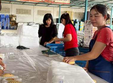 ลงพื้นที่สหกรณ์ชมรมชาวสวนมะม่วงจังหวัดฉะเชิงเทรา ... พารามิเตอร์รูปภาพ 4