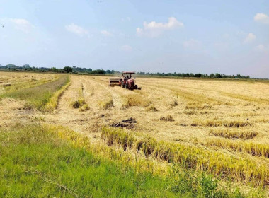 ลงพื้นที่สหกรณ์การเกษตรคลองเขื่อน จำกัด ... พารามิเตอร์รูปภาพ 3