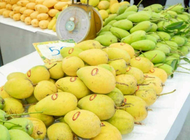 พิธีเปิดงาน “มหกรรมมะม่วงแปดริ้ว ครั้งที่ 21” ... พารามิเตอร์รูปภาพ 10