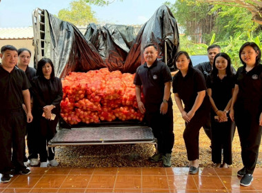 ร่วมกระจ่ายผลผลิตหอมหัวใหญ่ของสมาชิกสหกรณ์/เกษตรกรในจังหวัดเชียงใหม่ออกนอกแหล่งผลิตหอมหัวใหญ่ซึ่งมีปริมาณผลผลิตของสมาชิกสหกรณ์ออกสู่ตลาดเป็นจำนวนมากเกินกว่าความต้องการของตลาดในพื้นที่ ... พารามิเตอร์รูปภาพ 7