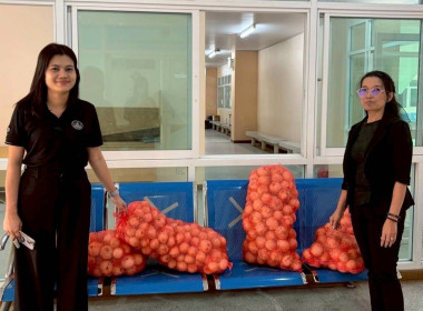 ร่วมกระจ่ายผลผลิตหอมหัวใหญ่ของสมาชิกสหกรณ์/เกษตรกรในจังหวัดเชียงใหม่ออกนอกแหล่งผลิตหอมหัวใหญ่ซึ่งมีปริมาณผลผลิตของสมาชิกสหกรณ์ออกสู่ตลาดเป็นจำนวนมากเกินกว่าความต้องการของตลาดในพื้นที่ ... พารามิเตอร์รูปภาพ 1