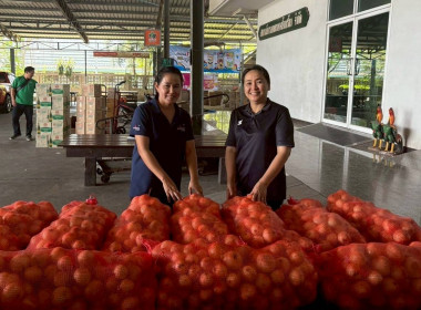 ร่วมกระจ่ายผลผลิตหอมหัวใหญ่ของสมาชิกสหกรณ์/เกษตรกรในจังหวัดเชียงใหม่ออกนอกแหล่งผลิตหอมหัวใหญ่ซึ่งมีปริมาณผลผลิตของสมาชิกสหกรณ์ออกสู่ตลาดเป็นจำนวนมากเกินกว่าความต้องการของตลาดในพื้นที่ ... พารามิเตอร์รูปภาพ 2