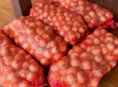 ร่วมกระจ่ายผลผลิตหอมหัวใหญ่ของสมาชิกสหกรณ์/เกษตรกรในจังหวัดเชียงใหม่ออกนอกแหล่งผลิตหอมหัวใหญ่ซึ่งมีปริมาณผลผลิตของสมาชิกสหกรณ์ออกสู่ตลาดเป็นจำนวนมากเกินกว่าความต้องการของตลาดในพื้นที่ ... พารามิเตอร์รูปภาพ 4