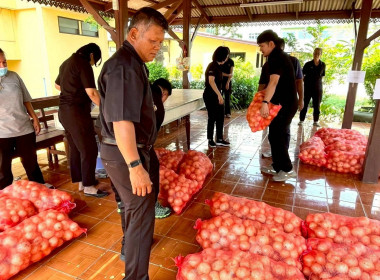ร่วมกระจ่ายผลผลิตหอมหัวใหญ่ของสมาชิกสหกรณ์/เกษตรกรในจังหวัดเชียงใหม่ออกนอกแหล่งผลิตหอมหัวใหญ่ซึ่งมีปริมาณผลผลิตของสมาชิกสหกรณ์ออกสู่ตลาดเป็นจำนวนมากเกินกว่าความต้องการของตลาดในพื้นที่ ... พารามิเตอร์รูปภาพ 6
