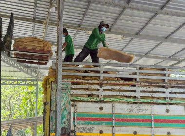 ลงพื้นที่สหกรณ์การเกษตรท่าตะเกียบ จำกัด ... พารามิเตอร์รูปภาพ 4