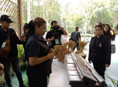 วันที่ 24 มีนาคม 2569 นางสาวรุ่งนะภา กลัดเจริญ ... พารามิเตอร์รูปภาพ 4