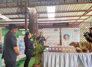 วันที่ 24 มีนาคม 2569 นางสาวรุ่งนะภา กลัดเจริญ ... พารามิเตอร์รูปภาพ 6