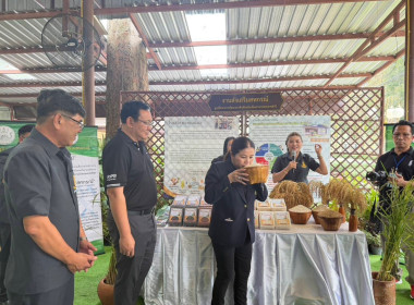 วันที่ 24 มีนาคม 2569 นางสาวรุ่งนะภา กลัดเจริญ ... พารามิเตอร์รูปภาพ 2