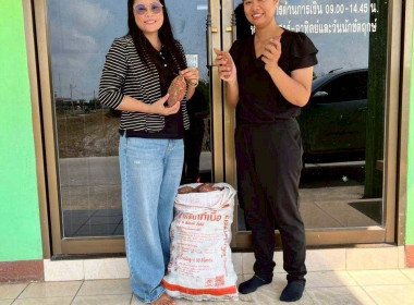 สำนักงานสหกรณ์จังหวัดฉะเชิงเทรา ร่วมกระจายมันแครอทอีสาน ... พารามิเตอร์รูปภาพ 9