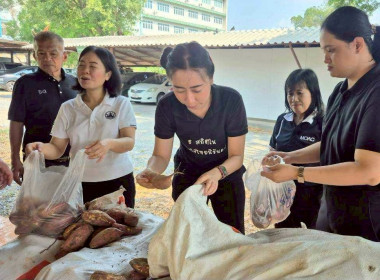 สำนักงานสหกรณ์จังหวัดฉะเชิงเทรา ร่วมกระจายมันแครอทอีสาน ... พารามิเตอร์รูปภาพ 1