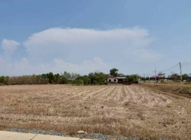 ลงพื้นที่สหกรณ์การเกษตรคลองเขื่อน จำกัด ... พารามิเตอร์รูปภาพ 6