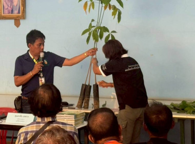 โครงการส่งเสริมและพัฒนาอาชีพเพื่อแก้ไขปัญหาที่ดินทำกินของเกษตรกร หลักสูตร "การยกระดับสินค้าสู่มาตรฐาน เพื่อสร้างมูลค่าเพิ่มแก่ผลผลิต" ประจำปีงบประมาณ พ.ศ. 2569 เรื่องการผลิตต้นกล้ายางพาราคุณภาพดี ... พารามิเตอร์รูปภาพ 9