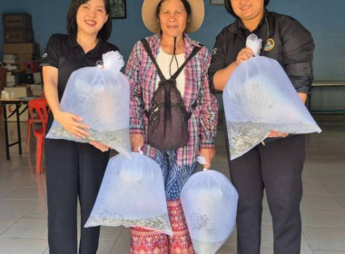 ลงพื้นที่สหกรณ์การเกษตรบ้านนายาวสามัคคี จำกัด ... พารามิเตอร์รูปภาพ 4