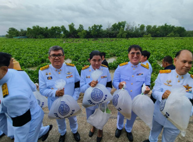 เข้าร่วมกิจกรรมเฉลิมพระเกียรติพระบาทสมเด็จพระเจ้าอยู่หัว ... พารามิเตอร์รูปภาพ 11