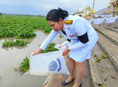 เข้าร่วมกิจกรรมเฉลิมพระเกียรติพระบาทสมเด็จพระเจ้าอยู่หัว ... พารามิเตอร์รูปภาพ 1