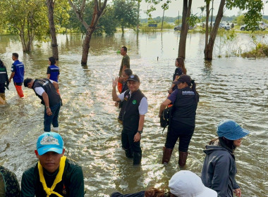 ลงพื้นที่ติดตามสถานการณ์อุทกภัยและบูรณาการบริหารจัดการน้ำในพื้นที่ฉะเชิงเทรา นำโดย นางสาวปิยะรัฐชย์ ติยะไพรัช รัฐมนตรีช่วยว่าการกระทรวงเกษตรและสหกรณ์ ... พารามิเตอร์รูปภาพ 10