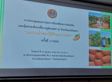 วันที่ 30 ตุลาคม 2566 นายสาธิต ปานขำ ... พารามิเตอร์รูปภาพ 3