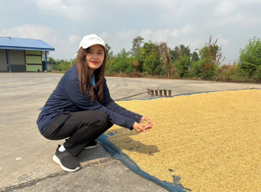 ลงพื้นที่เพื่อติดตามความก้าวหน้าผลการรวบรวมข้าวเปลือกตามโครงการส่งเสริมสถาบันเกษตรกรเป็นผู้ให้บริการทางการเกษตรสินค้าข้าวแบบครบวงจร ณ สหกรณ์การเกษตรคลองเขื่อน จำกัด ... พารามิเตอร์รูปภาพ 2