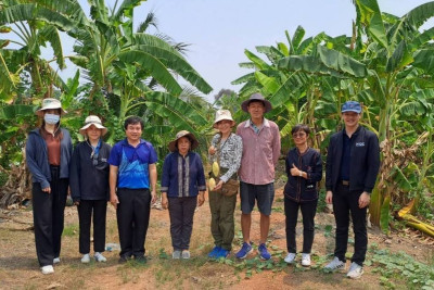 เข้าร่วมเป็นทีมตรวจประเมินคุณภาพสินค้าสิ่งบ่งชี้ทางภูมิศาสตร์ “มะม่วงน้ำดอกไม้สีทองบางคล้า” ชุดที่ 2 เพื่อตรวจประเมินผลผลิตมะม่วงของผู้ผลิตและผู้ประกอบการที่มีความประสงค์ขออนุญาตใช้ตราสัญลักษณ์ GI ไทยครั้งแรก ในเขตอำเภอบางคล้า จังหวัดฉะเชิงเทรา จำนวน 4 ร ... พารามิเตอร์รูปภาพ 1