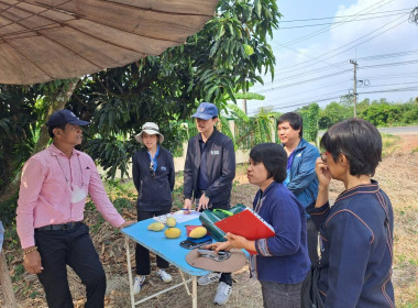 เข้าร่วมเป็นทีมตรวจประเมินคุณภาพสินค้าสิ่งบ่งชี้ทางภูมิศาสตร์ “มะม่วงน้ำดอกไม้สีทองบางคล้า” ชุดที่ 2 เพื่อตรวจประเมินผลผลิตมะม่วงของผู้ผลิตและผู้ประกอบการที่มีความประสงค์ขออนุญาตใช้ตราสัญลักษณ์ GI ไทยครั้งแรก ในเขตอำเภอบางคล้า จังหวัดฉะเชิงเทรา จำนวน 4 ร ... พารามิเตอร์รูปภาพ 5