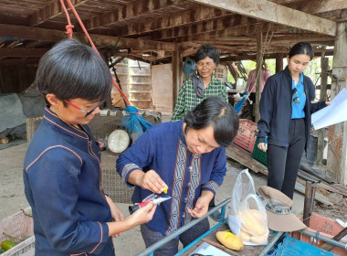 เข้าร่วมเป็นทีมตรวจประเมินคุณภาพสินค้าสิ่งบ่งชี้ทางภูมิศาสตร์ “มะม่วงน้ำดอกไม้สีทองบางคล้า” ชุดที่ 2 เพื่อตรวจประเมินผลผลิตมะม่วงของผู้ผลิตและผู้ประกอบการที่มีความประสงค์ขออนุญาตใช้ตราสัญลักษณ์ GI ไทยครั้งแรก ในเขตอำเภอบางคล้า จังหวัดฉะเชิงเทรา จำนวน 4 ร ... พารามิเตอร์รูปภาพ 6