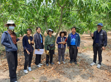 เข้าร่วมเป็นทีมตรวจประเมินคุณภาพสินค้าสิ่งบ่งชี้ทางภูมิศาสตร์ “มะม่วงน้ำดอกไม้สีทองบางคล้า” ชุดที่ 2 เพื่อตรวจประเมินผลผลิตมะม่วงของผู้ผลิตและผู้ประกอบการที่มีความประสงค์ขออนุญาตใช้ตราสัญลักษณ์ GI ไทยครั้งแรก ในเขตอำเภอบางคล้า จังหวัดฉะเชิงเทรา จำนวน 4 ร ... พารามิเตอร์รูปภาพ 7