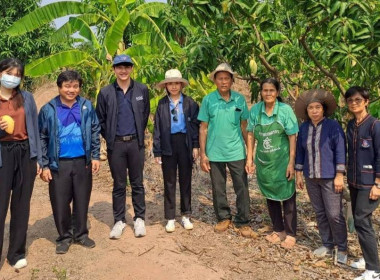 เข้าร่วมเป็นทีมตรวจประเมินคุณภาพสินค้าสิ่งบ่งชี้ทางภูมิศาสตร์ “มะม่วงน้ำดอกไม้สีทองบางคล้า” ชุดที่ 2 เพื่อตรวจประเมินผลผลิตมะม่วงของผู้ผลิตและผู้ประกอบการที่มีความประสงค์ขออนุญาตใช้ตราสัญลักษณ์ GI ไทยครั้งแรก ในเขตอำเภอบางคล้า จังหวัดฉะเชิงเทรา จำนวน 4 ร ... พารามิเตอร์รูปภาพ 8