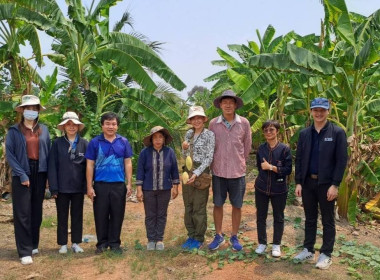 เข้าร่วมเป็นทีมตรวจประเมินคุณภาพสินค้าสิ่งบ่งชี้ทางภูมิศาสตร์ “มะม่วงน้ำดอกไม้สีทองบางคล้า” ชุดที่ 2 เพื่อตรวจประเมินผลผลิตมะม่วงของผู้ผลิตและผู้ประกอบการที่มีความประสงค์ขออนุญาตใช้ตราสัญลักษณ์ GI ไทยครั้งแรก ในเขตอำเภอบางคล้า จังหวัดฉะเชิงเทรา จำนวน 4 ร ... พารามิเตอร์รูปภาพ 1