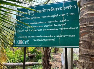ลงพื้นที่เพื่อติดตามผลการเชื่อมโยงคู่ค้าของแปลงใหญ่มะพร้าวน้ำหอม หมู่ 1-6 ตำบลบางเล่า อำเภอคลองเขื่อน จังหวัดฉะเชิงเทรา พบว่าในช่วงนี้มะพร้าวมีผลผลิตน้อย จากปัญหาภัยแล้ง ทำให้ผลผลืตไม่เพียงพอกับความต้องการของตลาด และไม่สามารถผลิตเป็นน้ำช่อมะพร้าวได้ ... พารามิเตอร์รูปภาพ 3