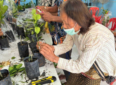 โครงการฝึกอบรมส่งเสริมและพัฒนาอาชีพการเกษตรที่เหมาะสมกับพื้นที่ ภายใต้โครงการจัดที่ดินทำกินให้ชุมชนตามนโยบายรัฐบาล (คทช.) ปีงบประมาณ พ.ศ.2567 รุ่นที่ 2 มีการให้ความรู้เกี่ยวกับการปลูกมะนาวและขยายพันธุ์พืช ... พารามิเตอร์รูปภาพ 5