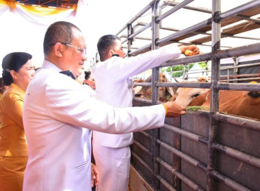 เข้าร่วมพิธีเจริญพระพุทธมนต์ และพิธีไถ่ชีวิตโค - กระบือ ... พารามิเตอร์รูปภาพ 7