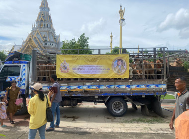 เข้าร่วมพิธีเจริญพระพุทธมนต์ และพิธีไถ่ชีวิตโค - กระบือ ... พารามิเตอร์รูปภาพ 11