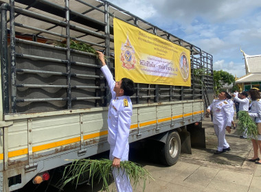 เข้าร่วมพิธีเจริญพระพุทธมนต์ และพิธีไถ่ชีวิตโค - กระบือ ... พารามิเตอร์รูปภาพ 9