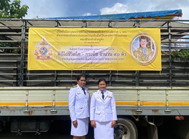 เข้าร่วมพิธีเจริญพระพุทธมนต์ และพิธีไถ่ชีวิตโค - กระบือ ... พารามิเตอร์รูปภาพ 12