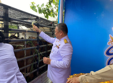 เข้าร่วมพิธีเจริญพระพุทธมนต์ ปล่อยพันธุ์สัตว์น้ำ ... พารามิเตอร์รูปภาพ 9