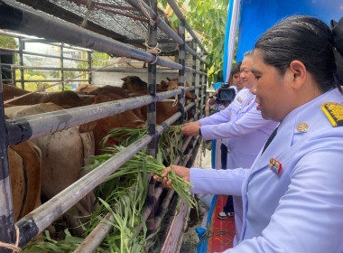 เข้าร่วมพิธีเจริญพระพุทธมนต์ ปล่อยพันธุ์สัตว์น้ำ ... พารามิเตอร์รูปภาพ 1