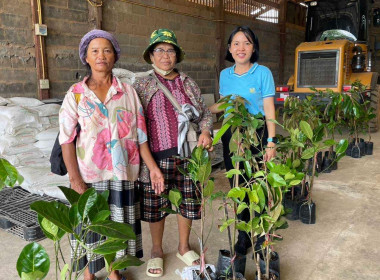 ลงพื้นติดตามผลและจัดเก็บข้อมูลของสมาชิกสหกรณ์การเกษตรบ้านนายาวสามมัคคี จำกัด ในพื้นที่โครงการจัดที่ดินทำกินให้ชุมชนตามนโยบายรัฐบาล (พื้นที่ป่าแควระบม-ป่าสียัด) ภายหลังการเข้ารับการอบรมหลักสูตร “การส่งเสริมและพัฒนาอาชีพการเกษตรที่เหมาะสมกับพื้นที่” ... พารามิเตอร์รูปภาพ 7