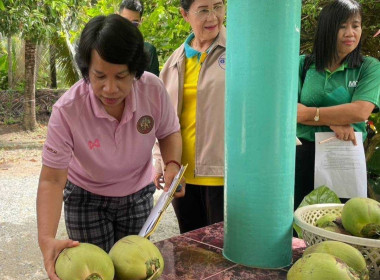 ลงพื้นที่ตรวจประเมินตามระบบควบคุมคุณภาพสินค้าบ่งชี้ทางภูมิศาสตร์ (GI) ไทย &quot;มะพร้าวน้ำหอมบางคล้า&quot; ร่วมกับสำนักงานพาณิชย์จังหวัดฉะเชิงเทรา ณ สวนมะพร้าวน้ำหอมของผู้ผลิตและผู้ประกอบการค้า อำเภอคลองเขื่อน จังหวัดฉะเชิงเทรา ... พารามิเตอร์รูปภาพ 7