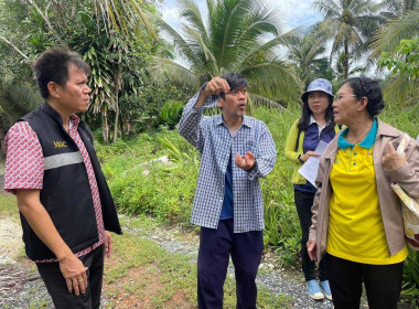 ลงพื้นที่ตรวจประเมินตามระบบควบคุมคุณภาพสินค้าบ่งชี้ทางภูมิศาสตร์ (GI) ไทย &quot;มะพร้าวน้ำหอมบางคล้า&quot; ร่วมกับสำนักงานพาณิชย์จังหวัดฉะเชิงเทรา ณ สวนมะพร้าวน้ำหอมของผู้ผลิตและผู้ประกอบการค้า อำเภอคลองเขื่อน จังหวัดฉะเชิงเทรา ... พารามิเตอร์รูปภาพ 8