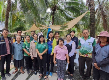 ลงพื้นที่ตรวจประเมินตามระบบควบคุมคุณภาพสินค้าบ่งชี้ทางภูมิศาสตร์ (GI) ไทย &quot;มะพร้าวน้ำหอมบางคล้า&quot; ร่วมกับสำนักงานพาณิชย์จังหวัดฉะเชิงเทรา ณ สวนมะพร้าวน้ำหอมของผู้ผลิตและผู้ประกอบการค้า อำเภอคลองเขื่อน จังหวัดฉะเชิงเทรา ... พารามิเตอร์รูปภาพ 9