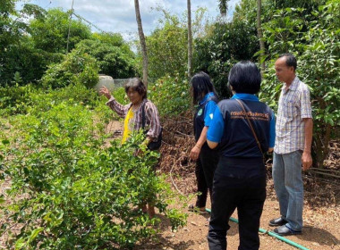 ลงพื้นที่เพื่อจัดเก็บข้อมูลเบื้องต้นจากสมาชิกสหกรณ์การเกษตรบ้านนายาวสามัคคี จำกัด ในพื้นที่โครงการจัดที่ดินทำกินให้ชุมชนตามนโยบายรัฐบาล (พื้นที่ป่าแควระบม-ป่าสียัด) ภายหลังการเข้ารับการอบรมหลักสูตร “การส่งเสริมและพัฒนาอาชีพการเกษตรที่เหมาะสมกับพื้นที่” ... พารามิเตอร์รูปภาพ 9